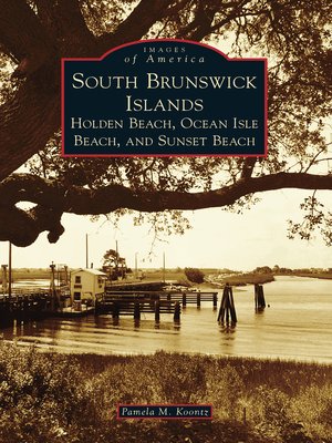 cover image of South Brunswick Islands